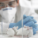 Image for article titled The Case For And Against Animal Testing